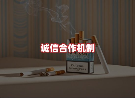 专业团队